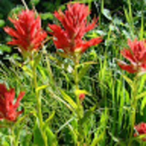 Meet your Posher, Patty